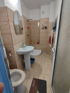 Apartament 1 camera - imagine 5