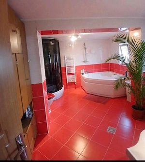 OCAZIE Vand casa cu 3 camere si 2 bai modernizata cu incalzire in pardoseala si semineu pe lemne - imagine 8