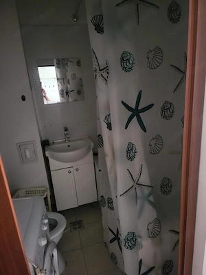Mureseni - Vanzare apartament 1 camera - Str. Cisnadie - imagine 4