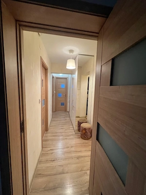Apartament 2 camere decomandat, 56.21 mp, renovat complet, Bd. București  - imagine 15