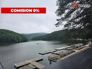 Investitie in turism, Pensiune 14 camere Valiug - imagine 9