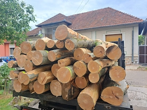 Vand Lemne de Foc ESENTA Tare