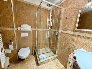 Afacere regim hotelier de vânzare  -zona centrala - imagine 7