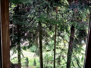 Vilă într-o oază de natură din centrul Brașovului | 180 mp | Teren 360 mp  | Terasă panoramică  - imagine 9