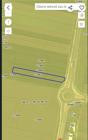Vand Teren Intravilan in DN5 (Remus) - imagine 4