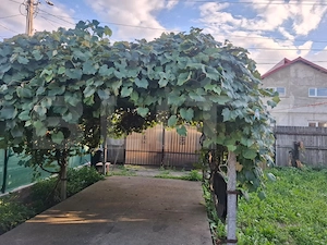 Casa de vanzare, 87 mp, zona Vișioara - imagine 16