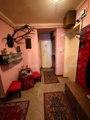 Apartament 4 camere, 65 mp, zona Careiului  - imagine 9