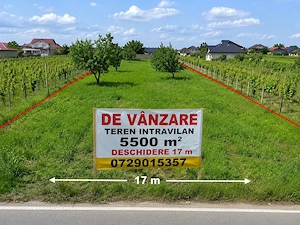 Vând teren intravilan 