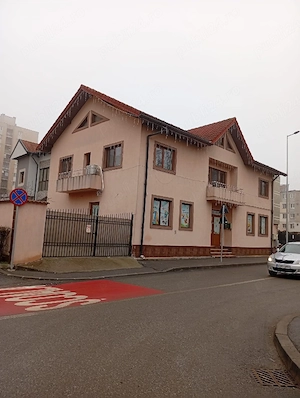Casă P+1 ideală pentru locuință și activitate în Târgu Jiu - imagine 2