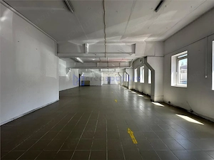 Spatii comerciale birouri Calea Chisinaului Leroy de la 67mp la 500mp - imagine 3