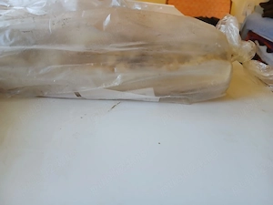 vand slanina de casa  - imagine 3