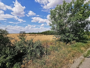 De vânzare teren extravilan, 5000 mp, Salonta - imagine 6
