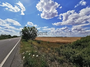 De vânzare teren extravilan, 5000 mp, Salonta - imagine 7