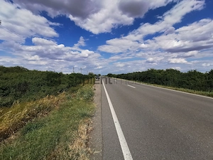 De vânzare teren extravilan, 5000 mp, Salonta - imagine 8