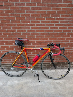 Bicicleta Cursiera