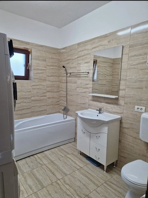 Casa individuala de vanzare in Sag Timis - imagine 7