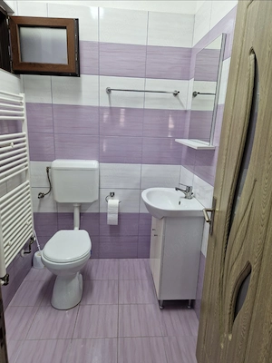 Casa individuala de vanzare in Sag Timis - imagine 8