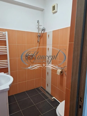 Central, birou cu acces din curte pe Str. Aurel Suciu - imagine 6
