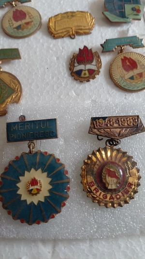 insigna meritul pioneresc,brigadier