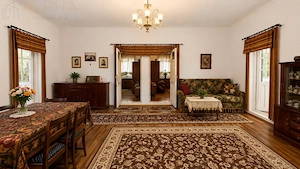 CASA CU TEREN GENEROS IN HERINA, BN – OPORTUNITATE DE INVESTITIE TURISTICA SAU REZIDENTIALA - imagine 11