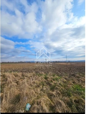 Teren de vanzare | 6400mp | Zona Centura Alba Iulia