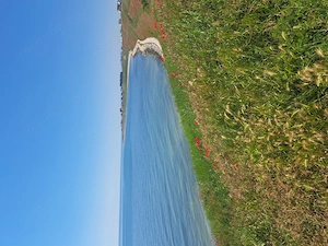 Proprietar vand teren in prima linie la mare in Costinesti - imagine 5