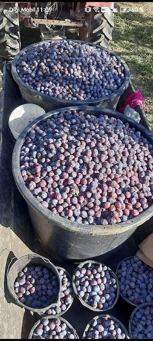 Vând palinca(țuică)naturala de prune 