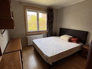 Apartament 2 cam zona Salajan - Prevederii - imagine 5