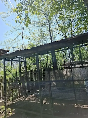 Porumbar    depozit pentru porumb