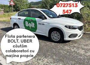 Un câștig suplimentar cu BOLT, UBER, comision 8 %