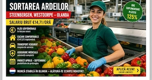 Se caută cupluri la hala la ardei