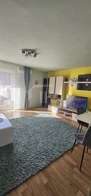 Apartament cu 2 camere, etaj 1, bloc mic, zona Iulius Mall - imagine 3