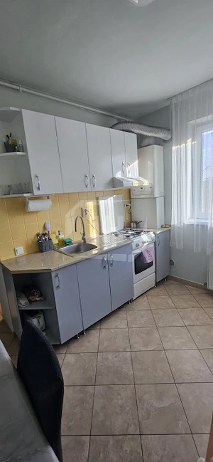 Apartament cu 2 camere, etaj 1, bloc mic, zona Iulius Mall - imagine 6