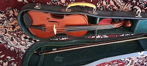 Viori de vanzare