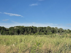 Teren Intravilan 18.738 mp de vânzare | Lângă Pădurea Țegheș | Domnești, Ilfov | Ideal dezvoltare  - imagine 6