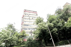 TEIUL DOAMNEI, BLOC 1984, DECOMANDAT, RENOVAT, NEMOBILAT, 0% COMISION! - imagine 12