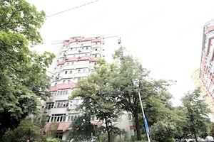 TEIUL DOAMNEI, BLOC 1984, DECOMANDAT, RENOVAT, NEMOBILAT, 0% COMISION! - imagine 13