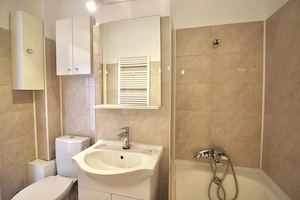 TEIUL DOAMNEI, BLOC 1984, DECOMANDAT, RENOVAT, NEMOBILAT, 0% COMISION! - imagine 8