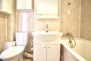TEIUL DOAMNEI, BLOC 1984, DECOMANDAT, RENOVAT, NEMOBILAT, 0% COMISION! - imagine 7