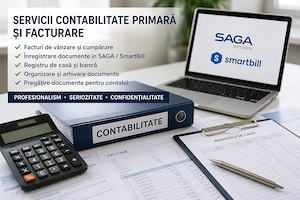 Ofer servicii contabilitate primara si facturare.