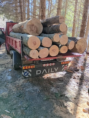 Lemne pentru foc 