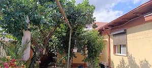 Casa Viile Noi - imagine 4