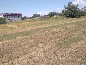 Vând teren intravilan 2350 mp Frătești, ideal investiție casă, utilități, 400m de DN5 - imagine 4