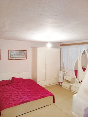 Casă 5 camere în Nădlac str.Viile Vechi - imagine 6