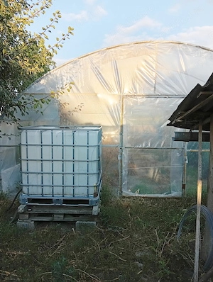 Casă 5 camere în Nădlac str.Viile Vechi - imagine 10