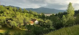 vanzare casa cu teren - imagine 5