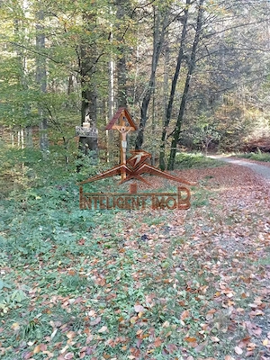 Teren Intravilan in Sambata de Sus- Judet Brasov - imagine 12