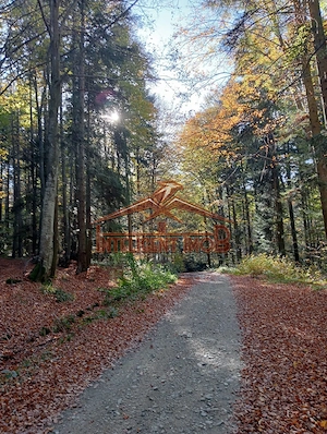 Teren Intravilan in Sambata de Sus- Judet Brasov - imagine 11