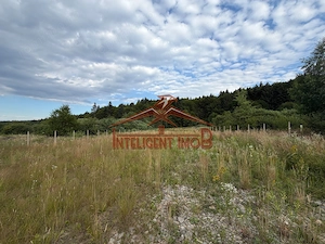 Teren Intravilan in Sambata de Sus- Judet Brasov - imagine 4