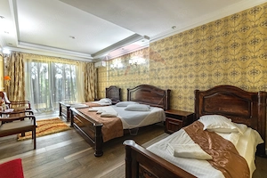 Hotel 26 camere Predeal | Complex premium, ultra-eficient, de vanzare! - imagine 13